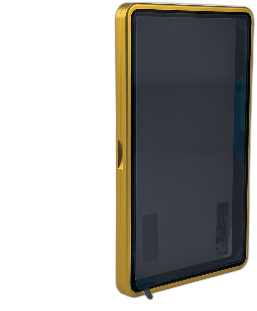 Gold case